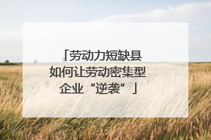 劳动力短缺县 如何让劳动密集型企业“逆袭”
