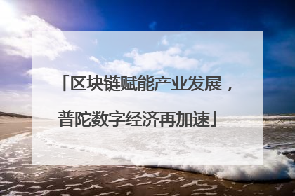 区块链赋能产业发展，普陀数字经济再加速