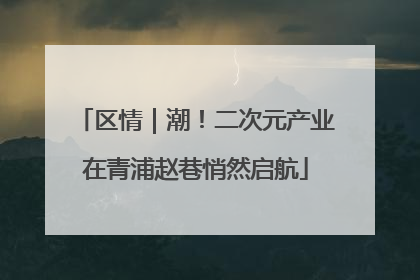 区情｜潮！二次元产业在青浦赵巷悄然启航