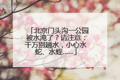 北京门头沟一公园被水淹了？请注意：千万别趟水，小心水蛇、水蛭……