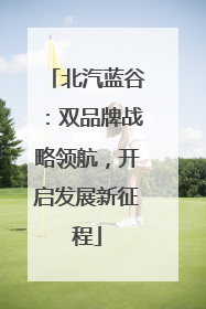 北汽蓝谷：双品牌战略领航，开启发展新征程
