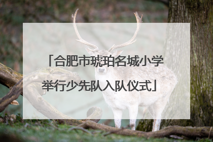 合肥市琥珀名城小学举行少先队入队仪式