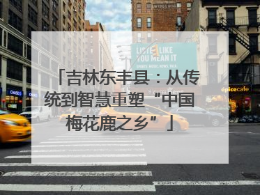 吉林东丰县：从传统到智慧重塑“中国梅花鹿之乡”