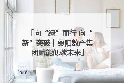 向“绿”而行 向“新”突破｜襄阳数产集团赋能低碳未来