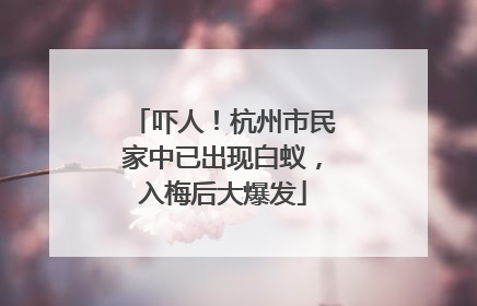 吓人！杭州市民家中已出现白蚁，入梅后大爆发