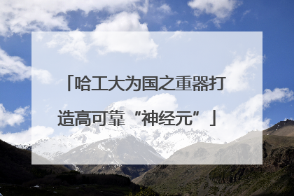 哈工大为国之重器打造高可靠“神经元”