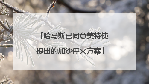 哈马斯已同意美特使提出的加沙停火方案