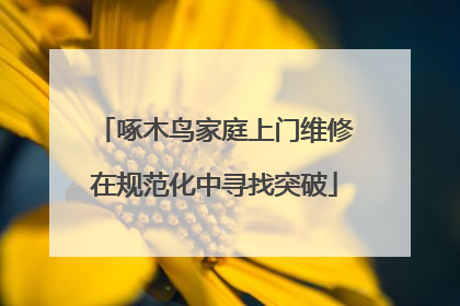啄木鸟家庭上门维修在规范化中寻找突破