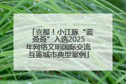 喜报！小江豚“蓝叒叒”入选2025年网络文明国际交流互鉴城市典型案例