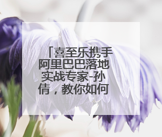 喜至乐携手阿里巴巴落地实战专家-孙倩，教你如何7天爆单逆袭跨境电商