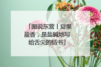 图说东营丨夏果盈香，是盐碱地写给舌尖的情书