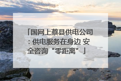 国网上蔡县供电公司：供电服务在身边 安全咨询“零距离”