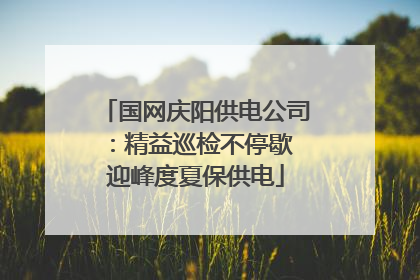 国网庆阳供电公司：精益巡检不停歇 迎峰度夏保供电