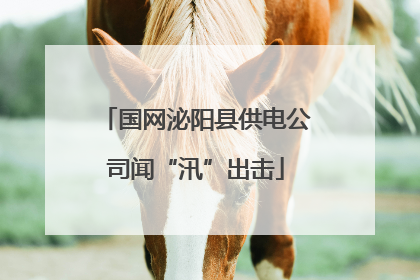国网泌阳县供电公司闻“汛”出击
