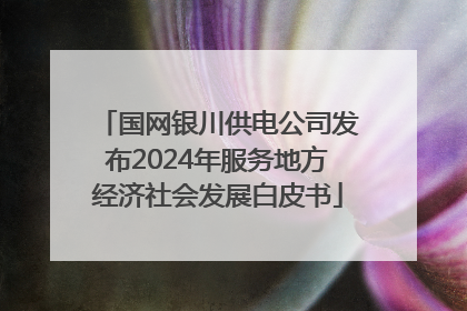 国网银川供电公司发布2024年服务地方经济社会发展白皮书