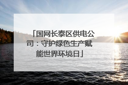 国网长泰区供电公司：守护绿色生产赋能世界环境日