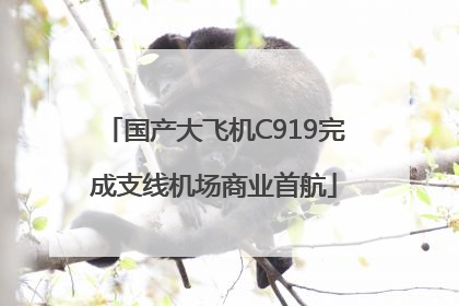 国产大飞机C919完成支线机场商业首航