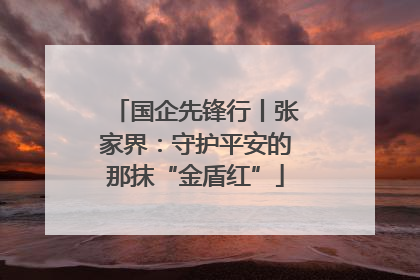 国企先锋行丨张家界：守护平安的那抹“金盾红”