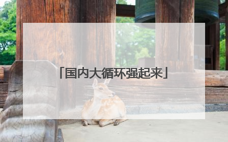国内大循环强起来