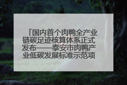 国内首个肉鸭全产业链碳足迹核算体系正式发布——泰安市肉鸭产业低碳发展标准示范项目顺利通过验收
