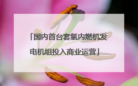 国内首台套氢内燃机发电机组投入商业运营