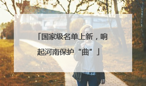 国家级名单上新，响起河南保护“曲”