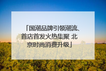 国潮品牌引领潮流、首店首发火热集聚 北京时尚消费升级