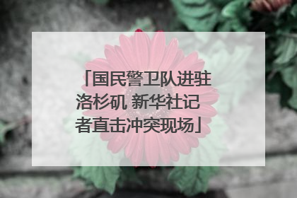 国民警卫队进驻洛杉矶 新华社记者直击冲突现场