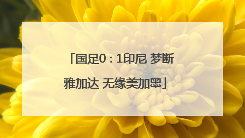 国足0∶1印尼 梦断雅加达 无缘美加墨