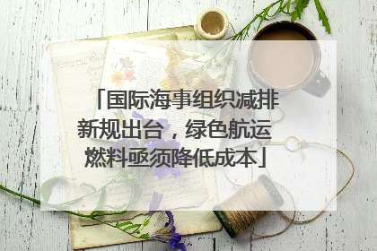国际海事组织减排新规出台，绿色航运燃料亟须降低成本