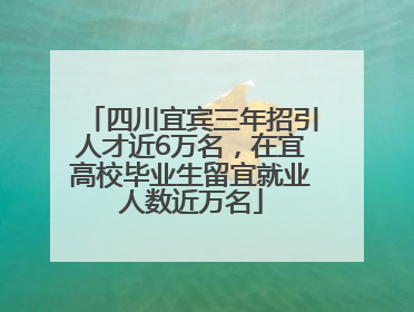 四川宜宾三年招引人才近6万名，在宜高校毕业生留宜就业人数近万名