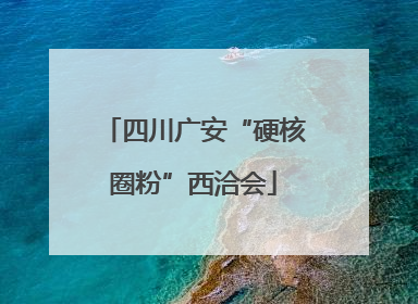 四川广安“硬核圈粉”西洽会