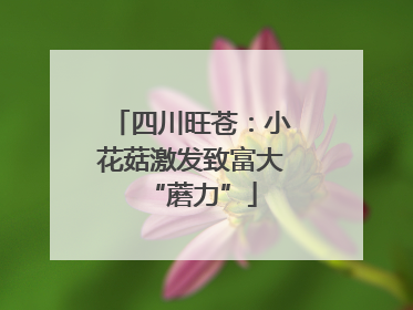 四川旺苍：小花菇激发致富大“蘑力”