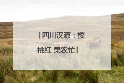 四川汉源：樱桃红 果农忙