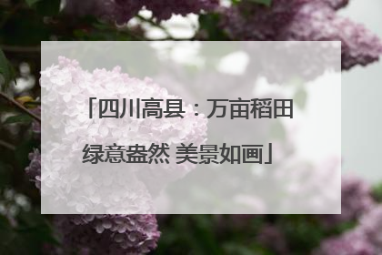 四川高县：万亩稻田绿意盎然 美景如画
