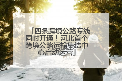 四条跨境公路专线同时开通！河北首个跨境公路运输集结中心启动运营