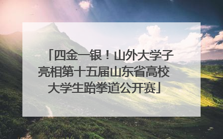 四金一银！山外大学子亮相第十五届山东省高校大学生跆拳道公开赛