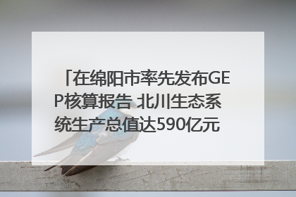 在绵阳市率先发布GEP核算报告 北川生态系统生产总值达590亿元｜新闻发布最前线