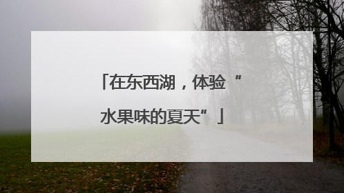 在东西湖，体验“水果味的夏天”