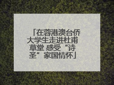 在蓉港澳台侨大学生走进杜甫草堂 感受“诗圣”家国情怀