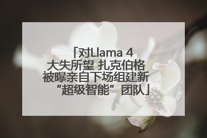 对Llama 4大失所望 扎克伯格被曝亲自下场组建新“超级智能”团队