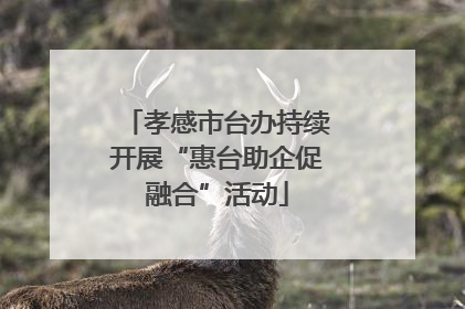 孝感市台办持续开展“惠台助企促融合”活动