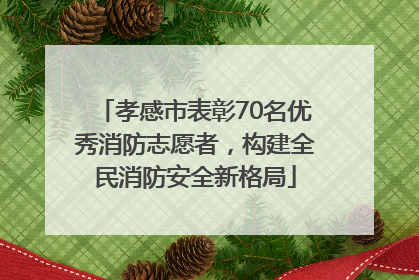孝感市表彰70名优秀消防志愿者，构建全民消防安全新格局