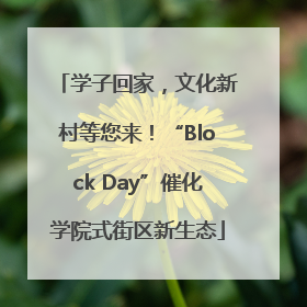 学子回家，文化新村等您来！“Block Day”催化学院式街区新生态