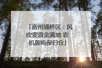 宿州埇桥区：风吹麦浪金满地 农机轰鸣保归仓
