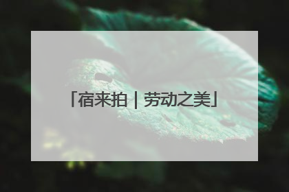 宿来拍｜劳动之美