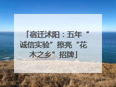 宿迁沭阳：五年“诚信实验”擦亮“花木之乡”招牌