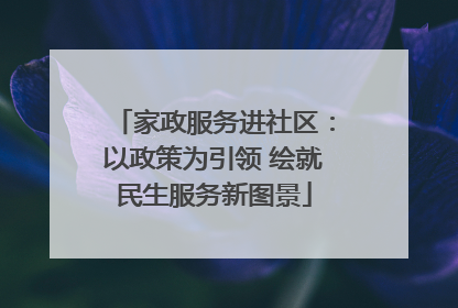 家政服务进社区：以政策为引领 绘就民生服务新图景