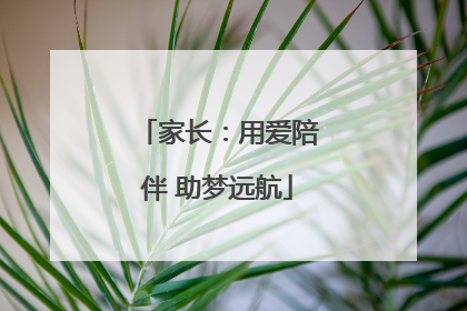 家长：用爱陪伴 助梦远航