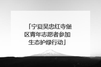 宁夏吴忠红寺堡区青年志愿者参加生态护绿行动